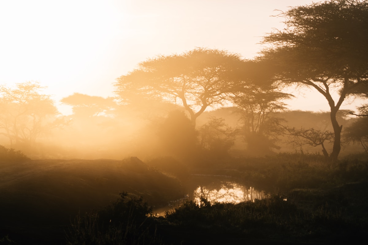 Trekking in Kenya